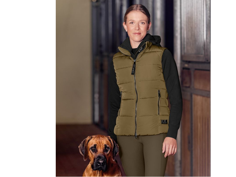 Winter Lightweight Weste Oxford Winter Lightweight Weste Oxford