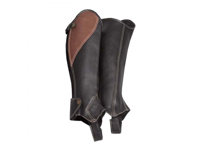 Chaps *Bicolor* von Kieffer