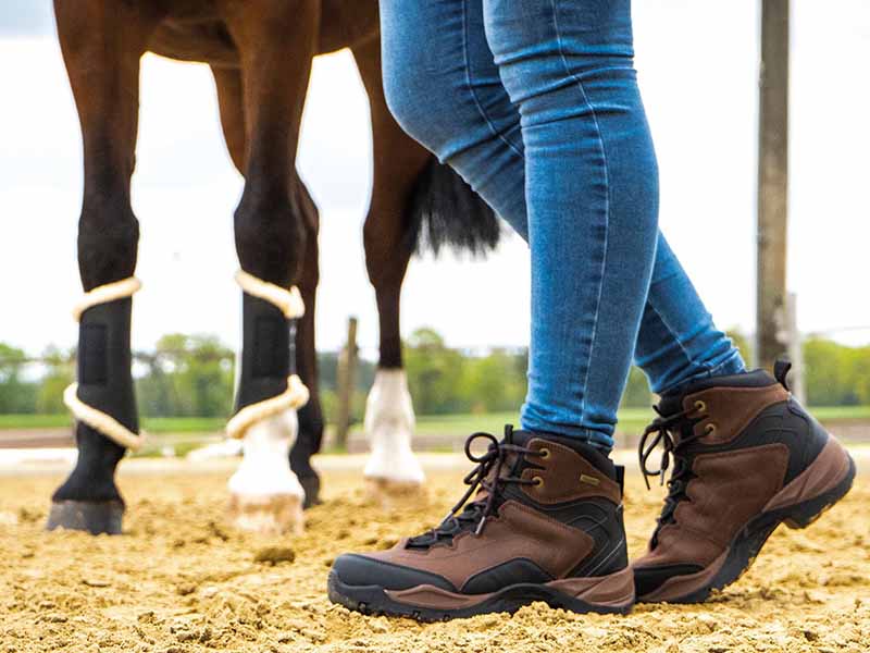 Reit- und Stallschuh DALLAS braun/schwarz Reit- und Stallschuh DALLAS braun/schwarz