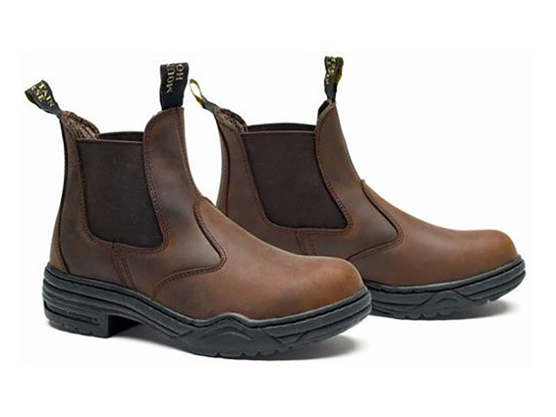 Mountain Horse Stable Jodhpur