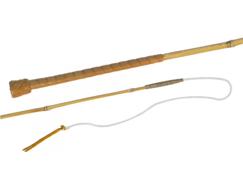 Fleck Bogenpeitsche Greenline Bambus