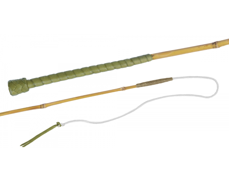 Fleck Bogenpeitsche Greenline Bambus Fleck Bogenpeitsche Greenline Bambus