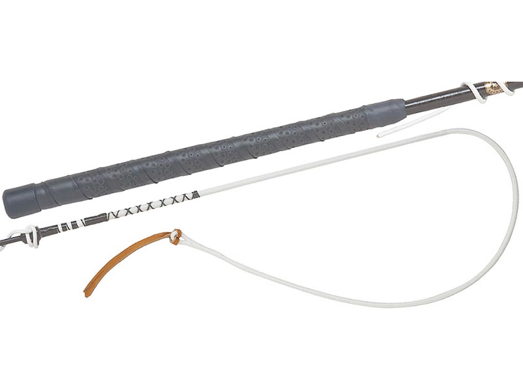 Schwarze Bogenpeitsche