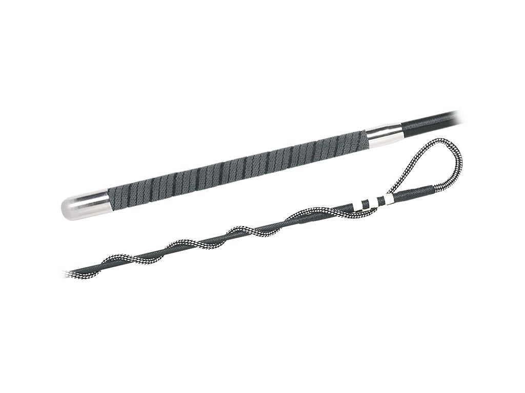 Longierpeitsche  Longierpeitsche