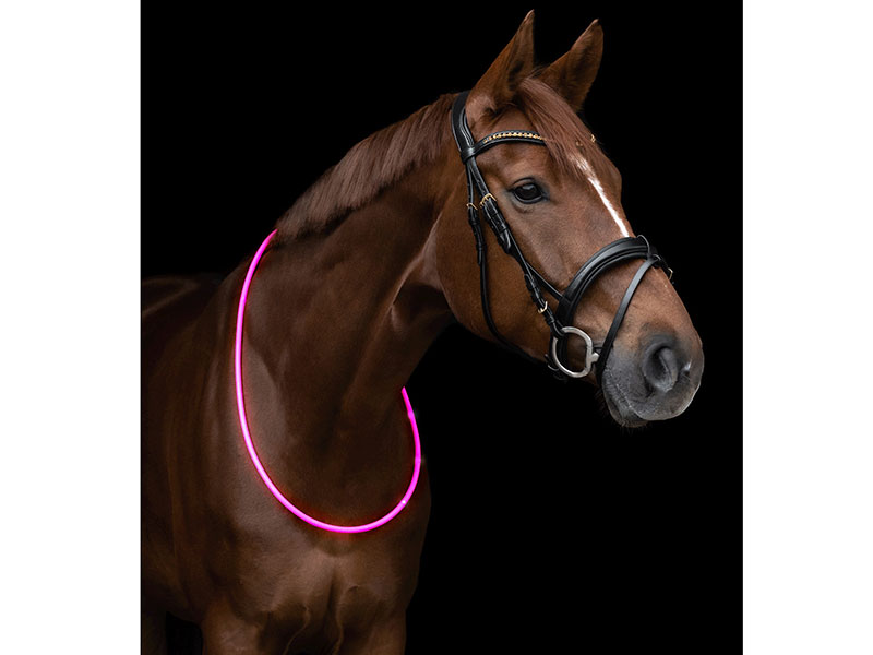 LED-HALSRIEMEN LED-HALSRIEMEN