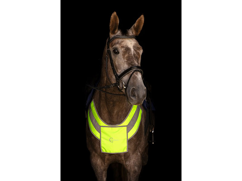 Reflex Vorderzeug Reflex Vorderzeug