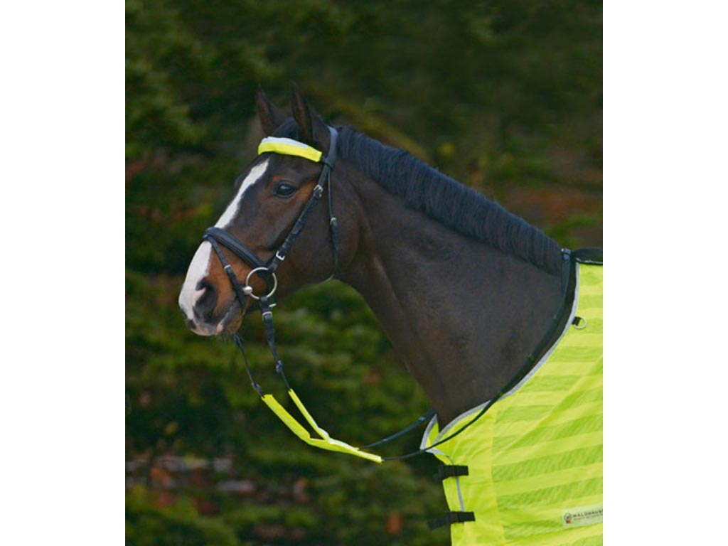 schwarzes Pferd mit Trense Reflex und Reflex Decke