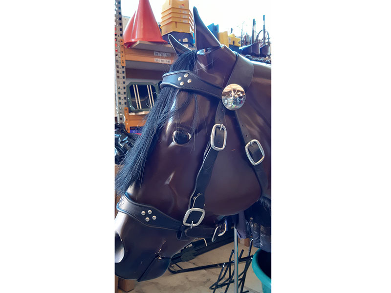 Arbeitshalfter BTS Größe Shetty + XXL Arbeitshalfter BTS Größe Shetty + XXL