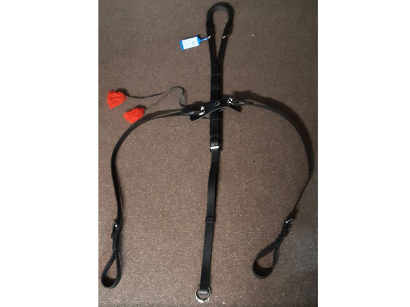 Schweifriemen Achenbach