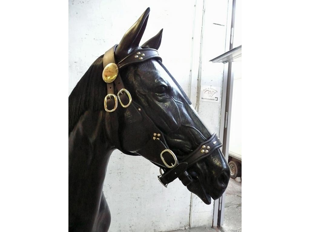 Zierliches Schmuckhalfter für Haflinger