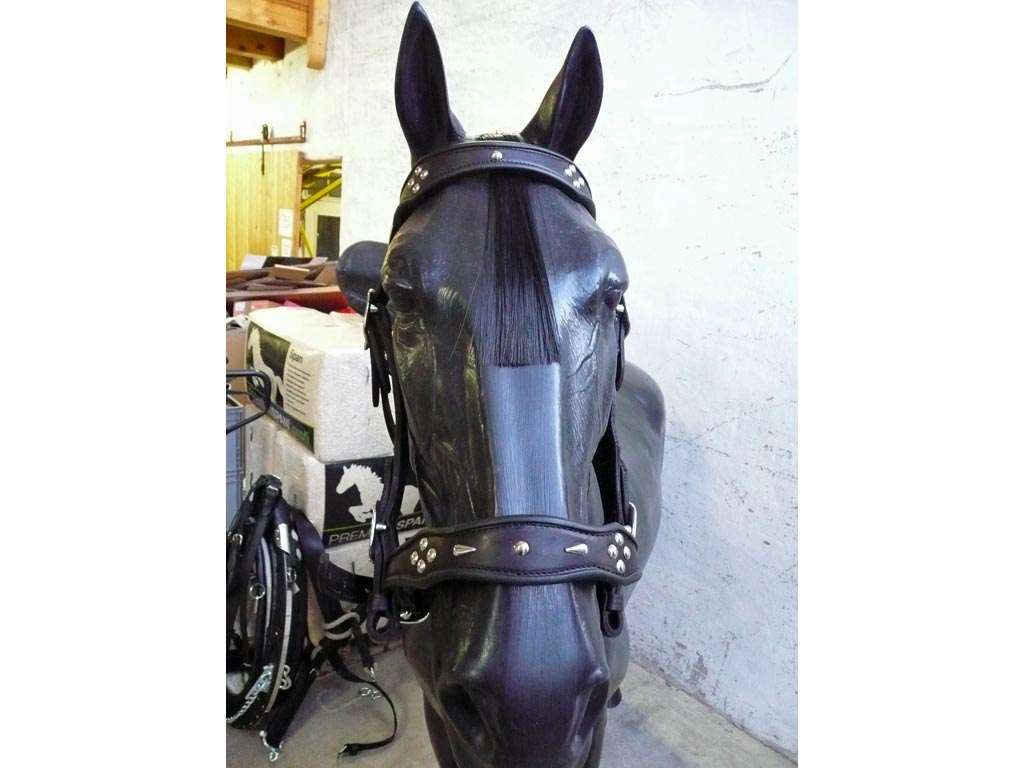 Zierliches Schmuckhalfter für Haflinger Zierliches Schmuckhalfter für Haflinger