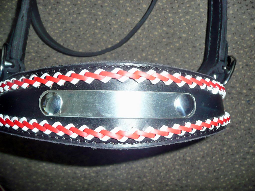 Zierliches Arbeitshalfter mit Bestickung Zierliches Arbeitshalfter mit Bestickung