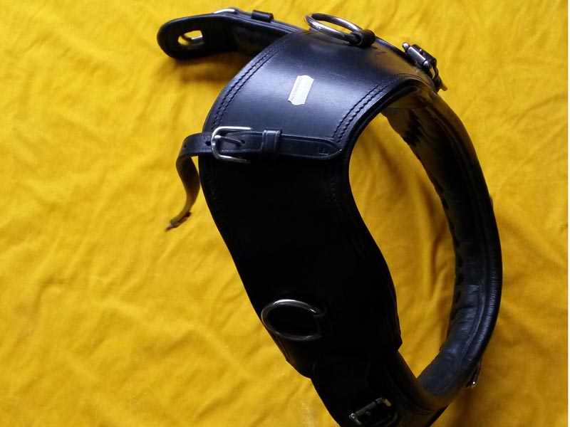 Französisch Kummet Französisch Kummet