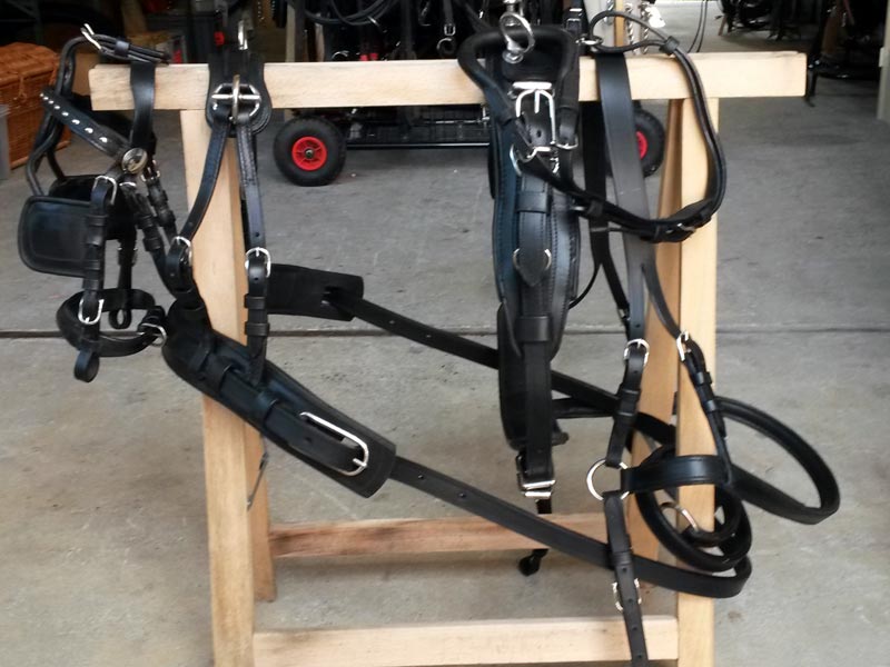 schwarzes Einspänner-Geschirr auf Holzgestell