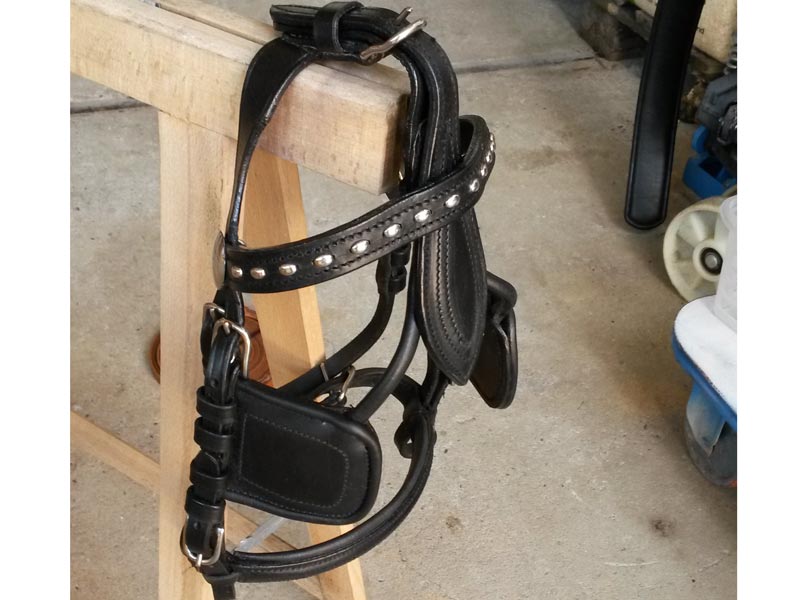 Einspänner-Geschirr Economy M-Sh bis Po Einspänner-Geschirr Economy M-Sh bis Po