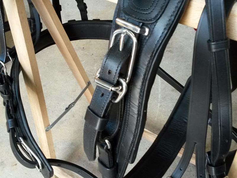 Einspänner-Geschirr Economy M-Sh bis Po Einspänner-Geschirr Economy M-Sh bis Po