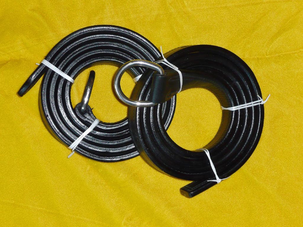 Schwarze Stränge mit D Ring