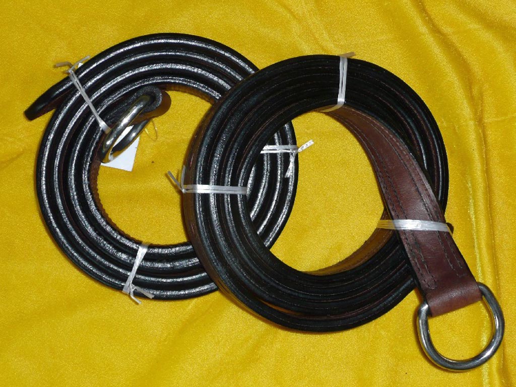 zwei Stränge mit D-Ring