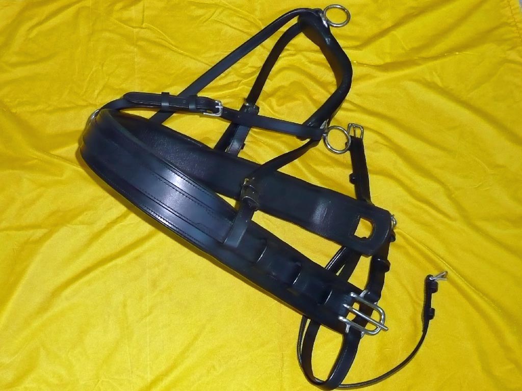 Schwarzes Brustblattgeschirr