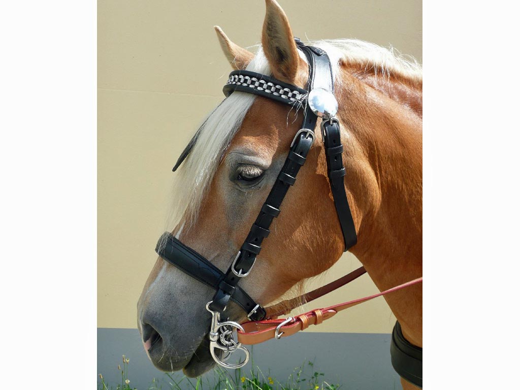 Fahrhalfter *Diplomat* ohne Scheuklappen MSH - Pony