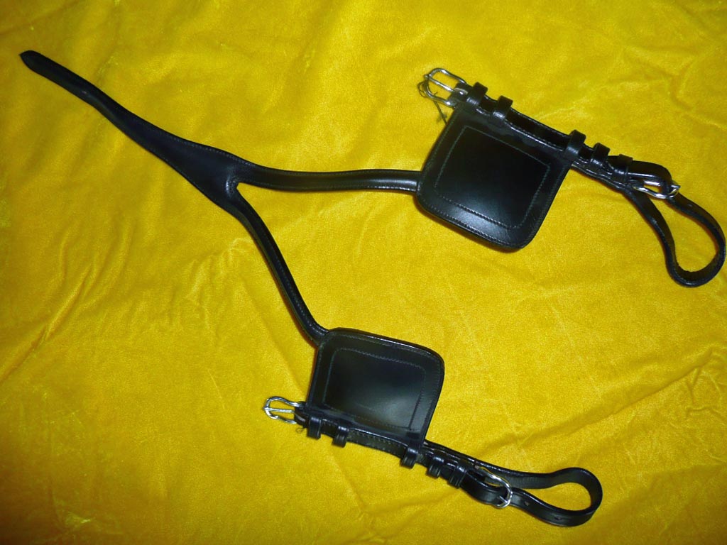 Schwarze Scheuklappen für Pferdegeschirr