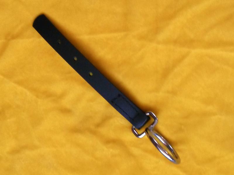 silbernes Leinenauge mit Biothaneriemen