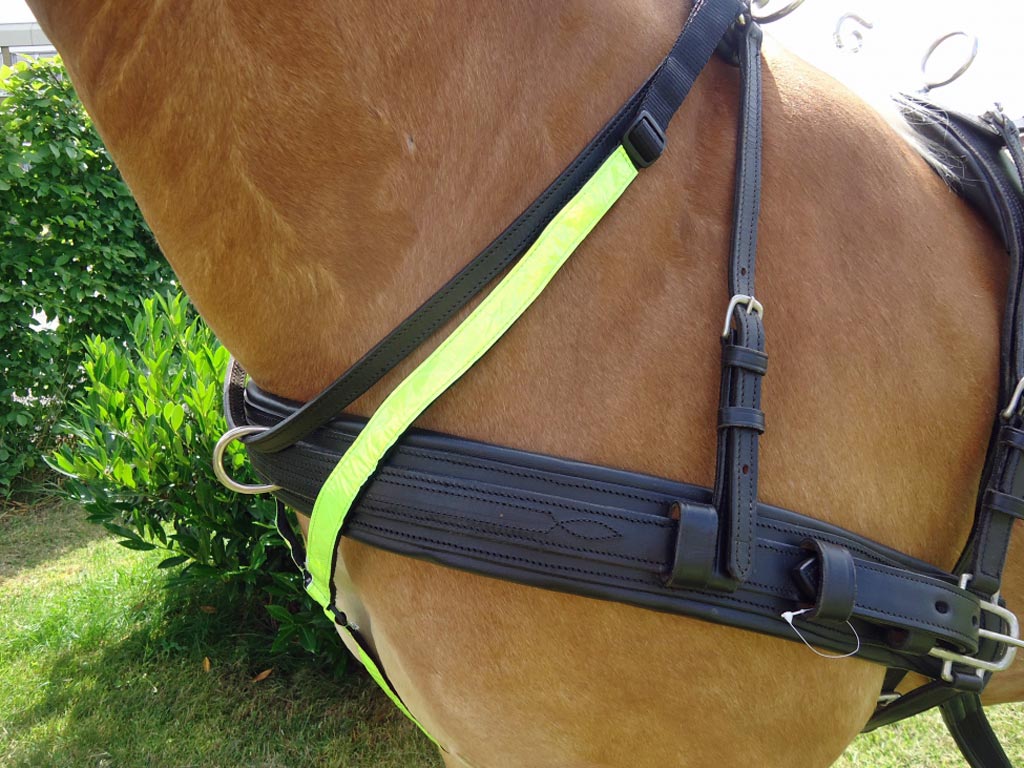 Brust-Reflektor Brust-Reflektor