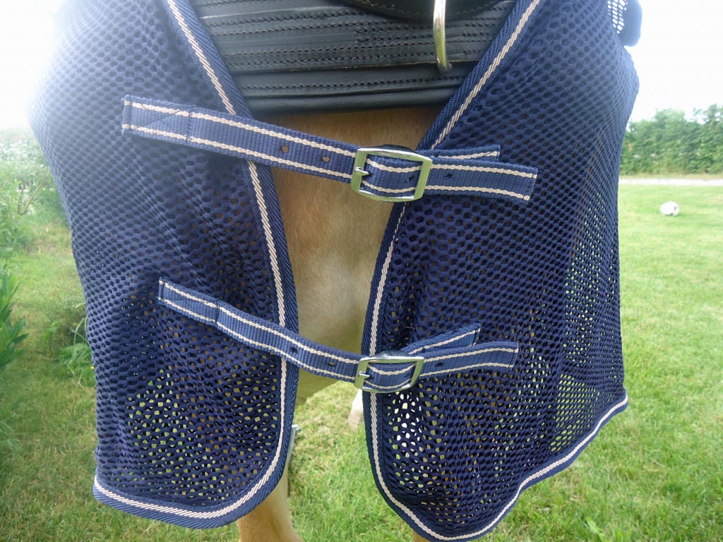 Blaue Fliegendecke mit Halsteil auf einem braunen Pferd
