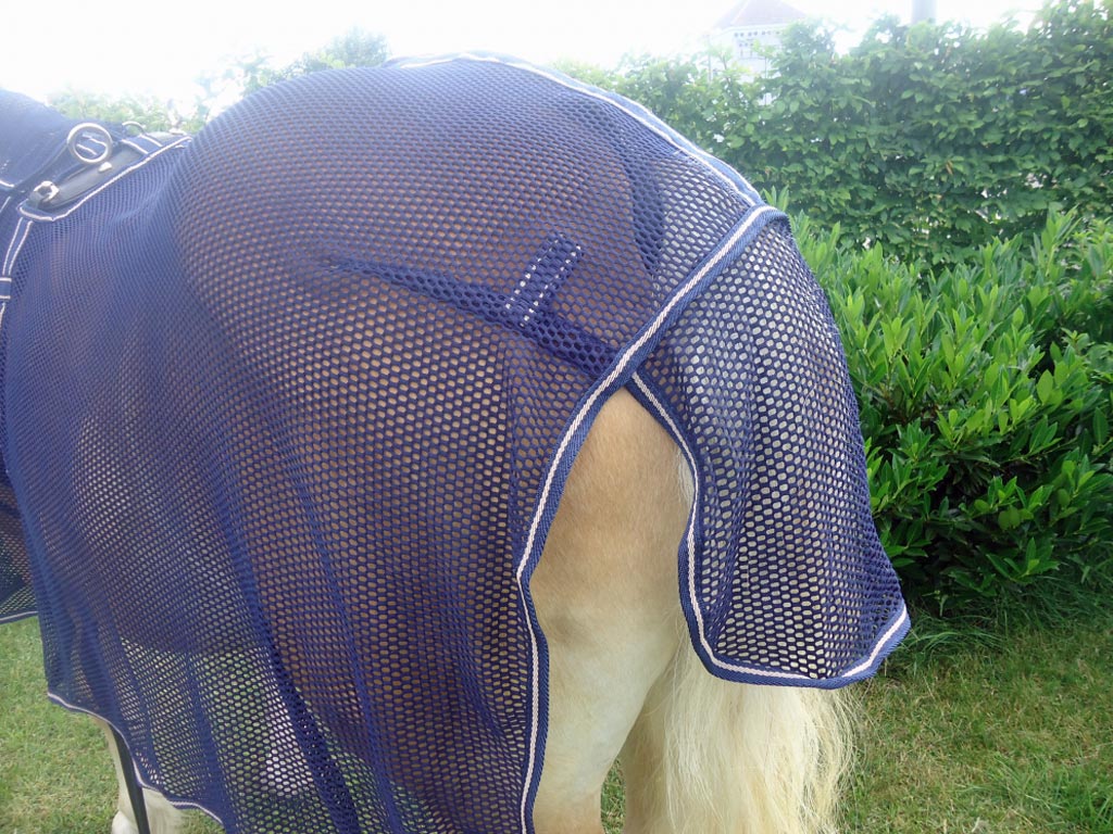 Blaue Fliegendecke mit Halsteil auf einem braunen Pferd