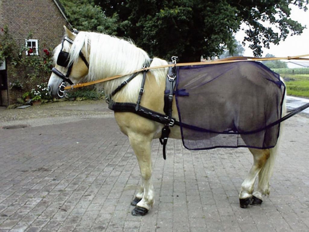 Fahrdecke *Flydriver* Pony Fahrdecke *Flydriver* Pony