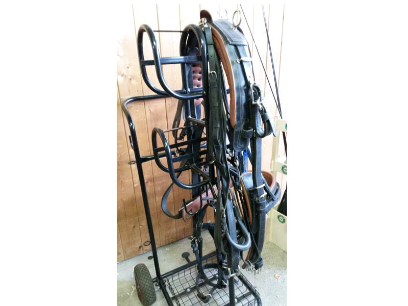 schwarzer Geschirrwagen Zweispänner