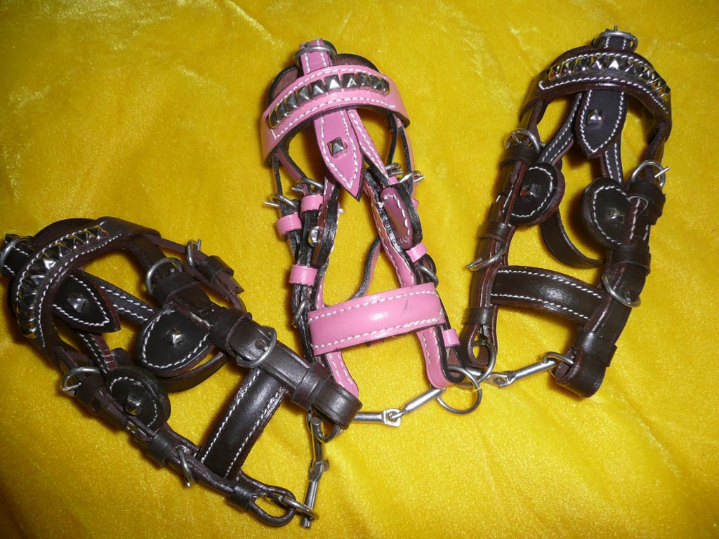 Mini-Fahrhalfter verschiedene Farben