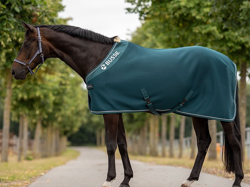 Abschwitzdecke 3D AIR PREMIUM