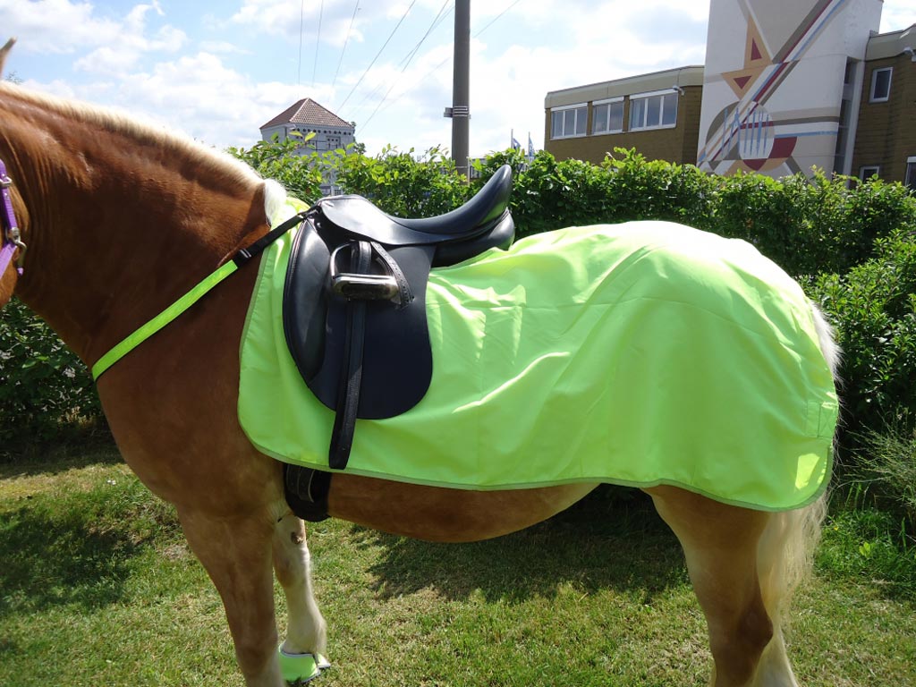 Ausreitdecke *Reflex* Shetty/Pony