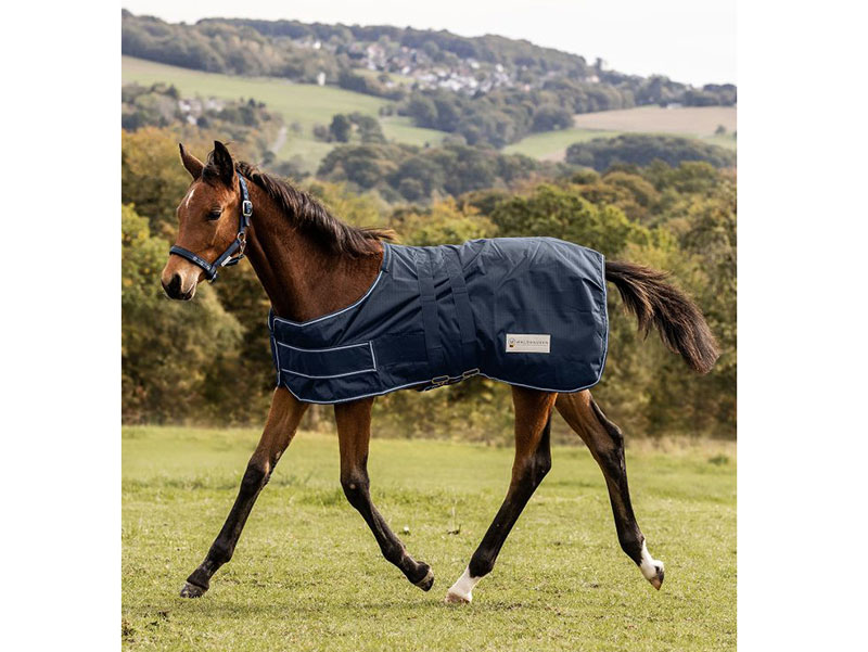 COMFORT Regen-Fohlendecke COMFORT Regen-Fohlendecke