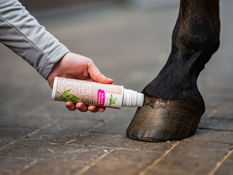 Hand mit Bürstenflasche an schwarzem Huf