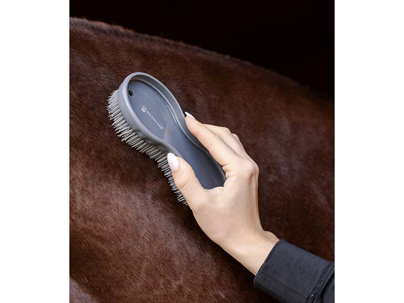 Hand mit grauer Bürste an braunem Pferd