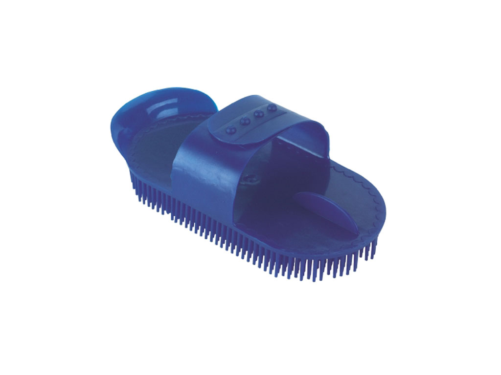 Blauer Nadelstriegel