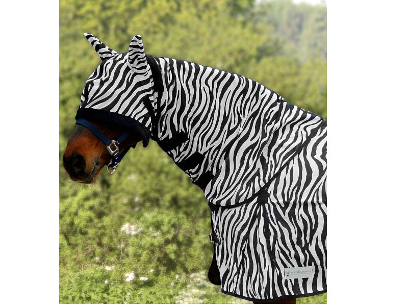 Fliegenhalsdecke Zebra Waldhausen