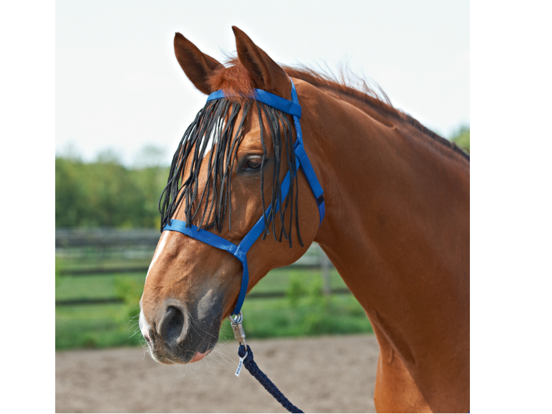 Halfter WEIDE-FRANSEN Fliegenschutz blau