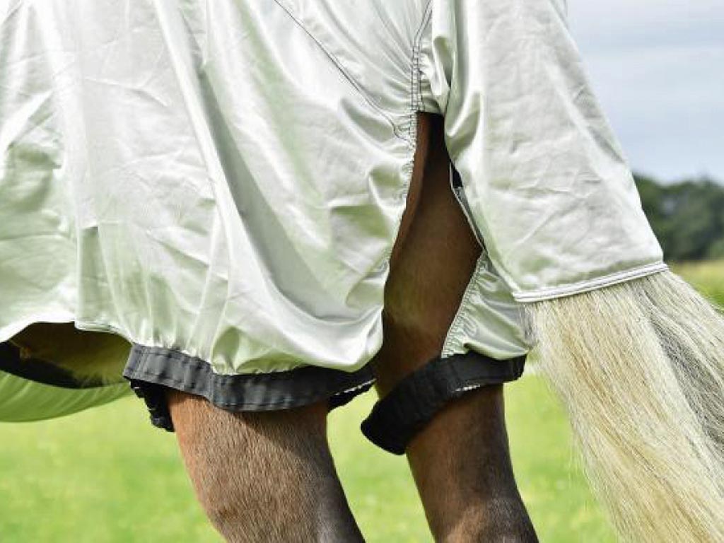 Braunes Pferd mit silberner Ekzemerdecke und Halsteil