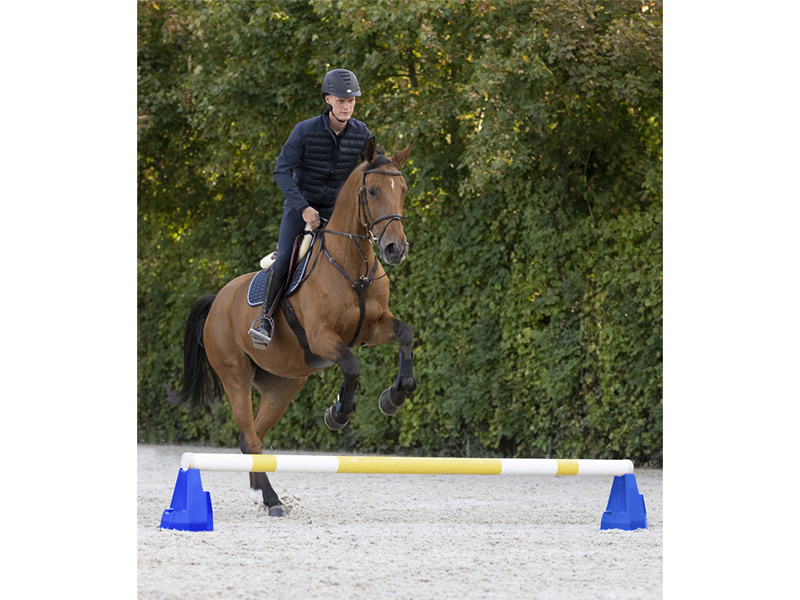 Cavaletti-Block blau/gelb Cavaletti-Block blau/gelb