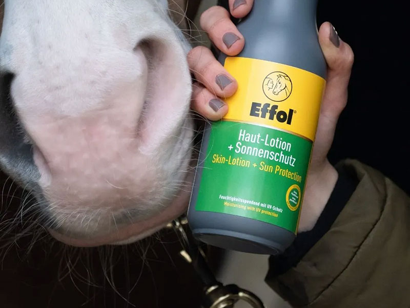 helles Pferdemaul neben grauer Flasche mit Sonnenschutz