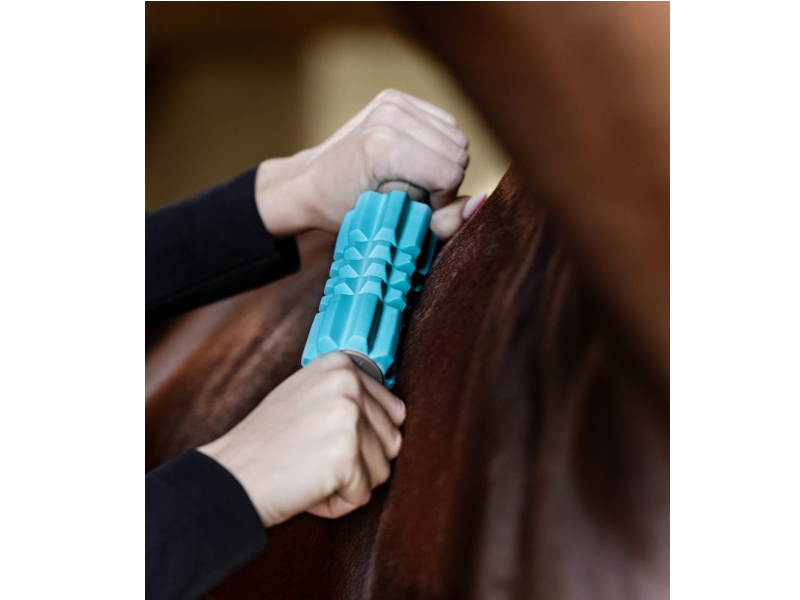 Massageroller Health + Care Faszien Fit 