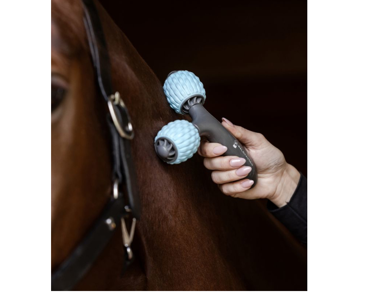 Massageroller Health + Care Comfort Creator 