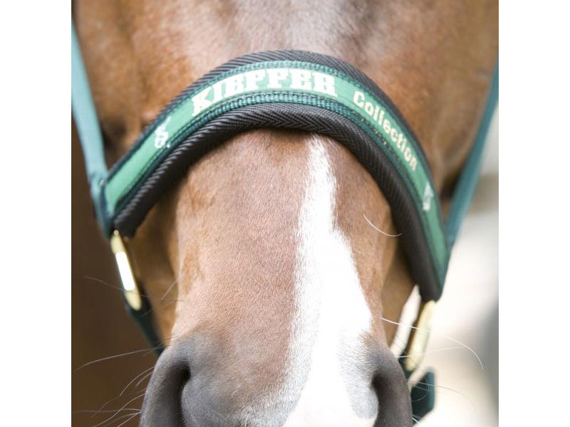 Stallhalfter *Collection* Stallhalfter *Collection*