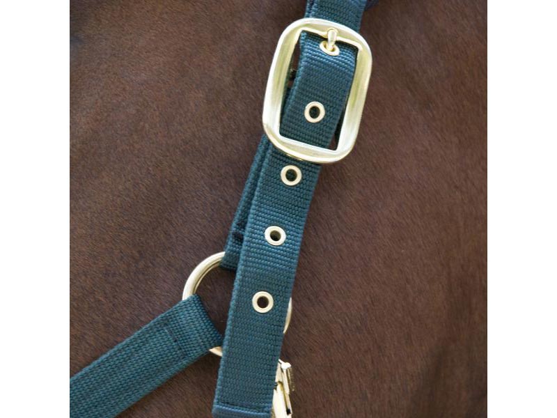 Stallhalfter *Collection* Stallhalfter *Collection*