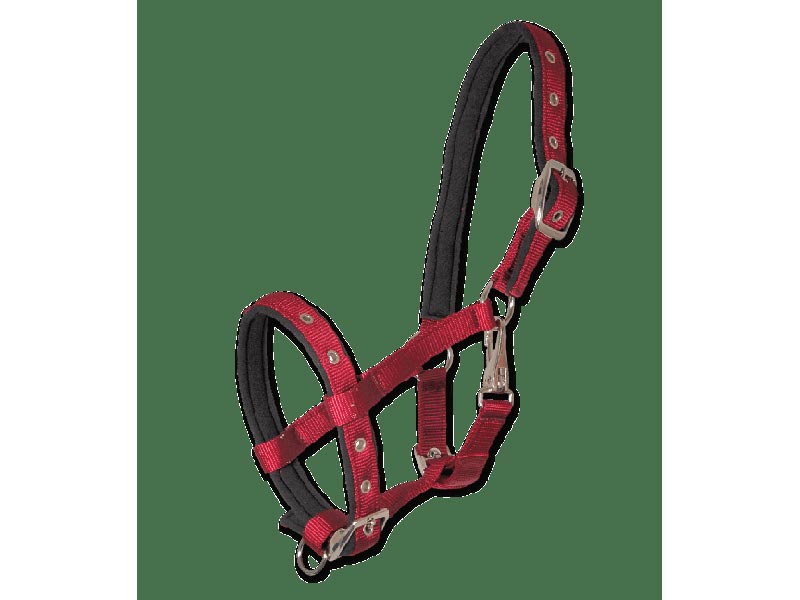 Fohlenhalfter *Comfort* Fohlenhalfter *Comfort*