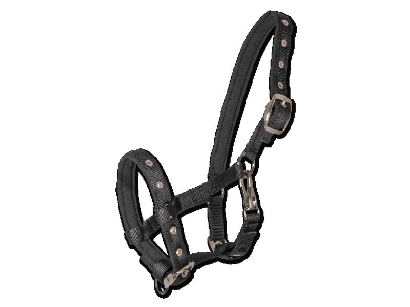 Fohlenhalfter *Comfort* Fohlenhalfter *Comfort*