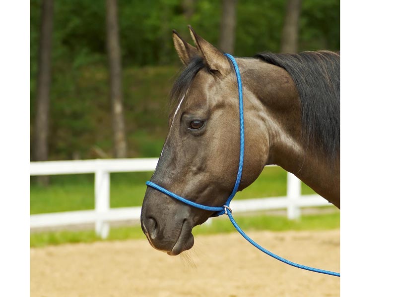 Halfter FUNKTION 3-in-1  Wanderreiten